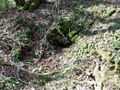 
One of many old levels, Wyndcliff, Tintern, April 2013