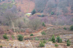 Graigddu Brickworks from the North, January 2010