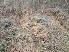 Graigddu Brickworks kiln area, March 2010