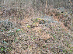 
Graigddu Brickworks kiln area, March 2010