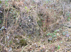 Graigddu Brickworks kiln area, March 2010