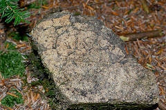 'Risca' possibly from Waunfawr Brickworks, © Photo courtesy of Steve Davies