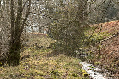 Risca Brickworks, leat to brickworks waterwheel, February 2015