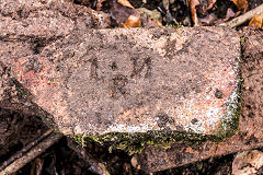 
'L N R' one of a number around the brickworks site, with reversed 'N'