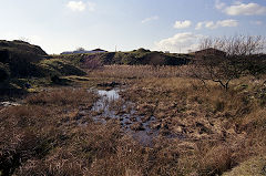 
Bryncethin Brickworks claypits, 1990, © Photo courtesy of Mike Stokes