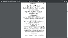 
D W Johns advert in Percy and Butchers trade directory for 1873