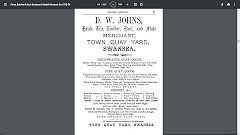 
D W Johns advert in Percy and Butchers trade directory for 1873