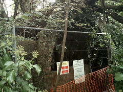 Penlan Brickworks tunnel to claypits