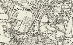 
Morriston Brickworks pits, 1876 © Crown Copyright reserved