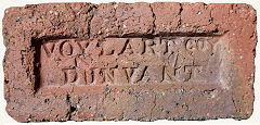'Voylart Coy Dunvant' © Photo courtesy of Mike Stokes