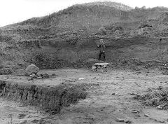 
Angle brickworks, Looking ENE. Loam, gravel, sand, possibly late-glacial. The hammer rests against carbonaceous loam with frequent fragments of wood. The far-travelled boulder immediately above was probably dug out from the floor immediately above the head of the figure, i.e., from the base of a bed of sand in which the top of a hole is visble near the right margin. © Photo courtesy of British Geological Survey