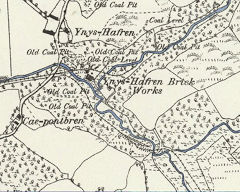 Ynys-Hafren Brickworks, 1878, © Crown Copyright reserved