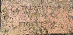 'Talyclyn TW&S Firebrick', © Photo courtesy of Tony Gostling