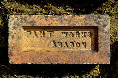 
'Pant Works Ruabon' from Pant brickworks, Ruabon, Denbighshire © Photo courtesy of Frank Lawson