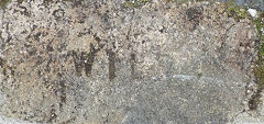'Wild', Holyhead Brickworks, © Photo courtesy of 'Old Bricks'