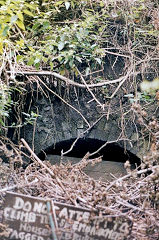 
Knowle Hill tunnel portal, © Photo courtesy of Phil Pritchard