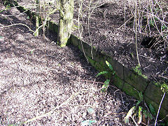 
Hancocks Wharf track close-up, © Photo courtesy of Phil Pritchard