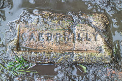 
'Caerphilly' type 1 from Furnace Blwm brickworks, Caerphilly