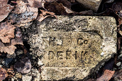 
'Garth Co Rhiwderin' from Rhiwderin Brickworks, found at Waterloo, Rudry, March 2019