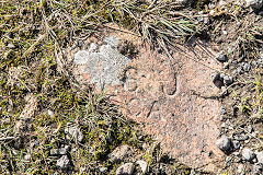 
'SJ Risca', partial imprint, Dan-y-graig brickworks, Risca