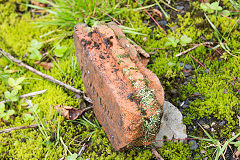 
'Tredegar', 'Pat Appd For' with grooves and ribs', from Tredegar Collieries brickworks