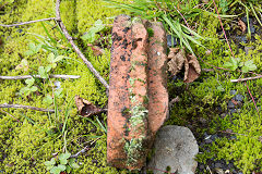 
'Tredegar', 'Pat Appd For' with grooves and ribs', from Tredegar Collieries brickworks