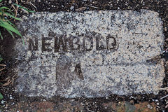'Newbold A' possibly from Victoria, Australia, at Carterton, Wairarapa, Spring 2017