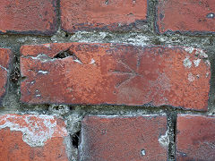 The Tasman Street wall, Wellington, March 2023