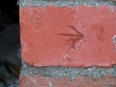 The Tasman Street wall, Wellington, March 2023