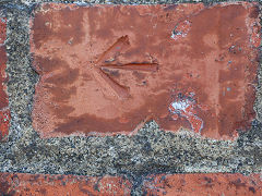 The Tasman Street wall, Wellington, March 2023