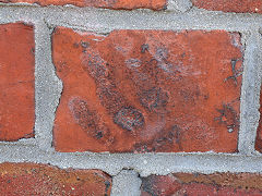 The Tasman Street wall, Wellington, March 2023