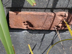 The Tasman Street wall, Wellington, March 2023