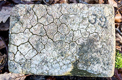 '39', found at Varteg, Mon