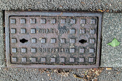 
'Charlton Sheffield', found at Bridgend, September 2020