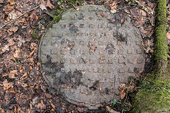 
'Lawrence & Co Taffs Well', found at Gwaelod-y-Garth, January 2018