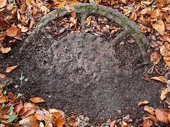 'RDC ...YTE & Co', Trehafod, A mystery as it was buried and in poor condition, November 2021