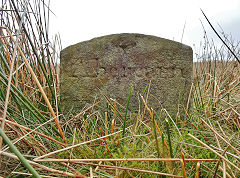 'Abercarn' and 'Edlogan', Cwm Lickey, Mynydd Maen, photo courtesy of Lawrence Skuse