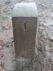 
'CHL I', Capel Hanbury Leigh, with 'IM' on reverse, © Photo courtesy of Robert Kemp