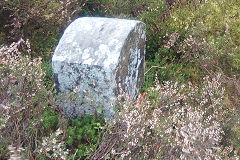 
'CHL V', Capel Hanbury Leigh, with 'IM' on reverse, © Photo courtesy of Robert Kemp