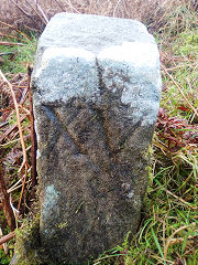 
'CHL XV', Capel Hanbury Leigh, with 'IM' on reverse, © Photo courtesy of Robert Kemp