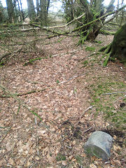 Cwmcarn boundary stone 1 at ST 24519 94889, © Photo courtesy of Robert Kemp
