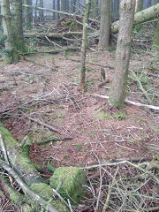 
Cwmcarn boundary stone 2 at ST 24526 94837, © Photo courtesy of Robert Kemp