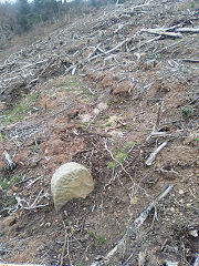 Cwmcarn boundary stone 4 at ST 24540 94686, © Photo courtesy of Robert Kemp