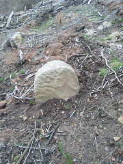 
Cwmcarn boundary stone 4 at ST 24540 94686, © Photo courtesy of Robert Kemp