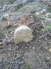 Cwmcarn boundary stone 4 at ST 24540 94686, © Photo courtesy of Robert Kemp