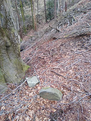 Cwmcarn boundary stone 5 at ST 24541 94637, © Photo courtesy of Robert Kemp