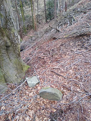 
Cwmcarn boundary stone 5 at ST 24541 94637, © Photo courtesy of Robert Kemp