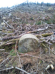 Cwmcarn boundary stone 6 at ST 24478 94337, © Photo courtesy of Robert Kemp