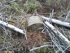
Cwmcarn boundary stone 7 at ST 24444 94289, © Photo courtesy of Robert Kemp