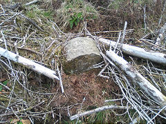 Cwmcarn boundary stone 7 at ST 24444 94289, © Photo courtesy of Robert Kemp